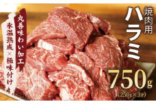 牛肉 ハラミ 750g 小分け 250g×3P【氷温熟成×極味付け 牛肉 訳あり 不揃い 焼肉 BBQ 野菜炒め】