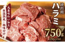 牛肉 ハラミ 750g 小分け 250g×3P【氷温熟成×極味付け 牛肉 訳あり 不揃い 焼肉 BBQ 野菜炒め】