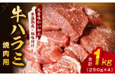牛肉 ハラミ 1kg 小分け 250g×4P【氷温熟成×極味付け 味付き 牛肉 訳あり 不揃い 焼肉 BBQ 野菜炒め】