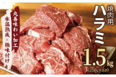 牛肉 ハラミ 1.5kg 小分け 250g×6P【氷温熟成×極味付け 牛肉 訳あり 不揃い 焼肉 BBQ 野菜炒め】