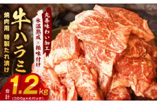牛肉 ハラミ 1.2kg 小分け 300g×4P【氷温熟成×特製ダレ 味付き 牛肉 訳あり 不揃い 焼肉 BBQ 野菜炒め】