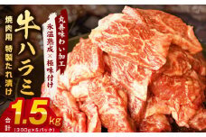 牛肉 ハラミ 1.5kg 小分け 300g×5P【氷温熟成×特製ダレ 味付き 牛肉 訳あり 不揃い 焼肉 BBQ 野菜炒め】