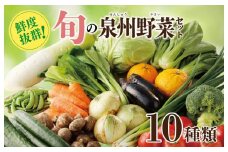 【スピード発送】新鮮 野菜セット 10種類【国産 新鮮 おまかせ お楽しみ 旬 詰め合わせ 泉州野菜】