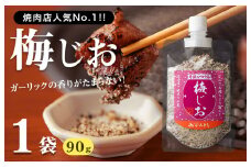 【スピード発送】焼き肉専門店 梅じお ガーリック スパイス 90g×1袋 お試し