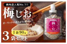 【スピード発送】焼き肉専門店 梅じお ガーリック スパイス 90g×3袋 お試し