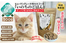 【定期便】国産無添加 キャットフード 500g×全6回「いのちのごはん」タンパク質 66％以上配合タイプ【猫 ねこ ペットフード チキン 手作り ヒューマングレード 国産 毎月配送】