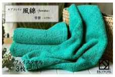 エアコットン風綿フェイスタオル 3枚(常盤) 【泉州タオル 国産 吸水 普段使い 無地 シンプル 日用品 家族 ファミリー】