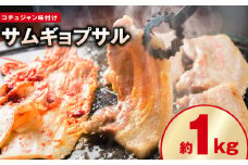 【焼くだけ】味付きサムギョプサル 約1kg（500g×2P） コチュジャン味付け 焼肉 BBQ デジカルビ