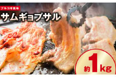 【焼くだけ】味付きサムギョプサル 約1kg（500g×2P）プルコギ風味 焼肉 BBQ デジカルビ