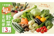 10種類の新鮮野菜 定期便 全3回 詰め合わせ 国産 冷蔵発送 毎月配送コース【国産 野菜 やさい 詰め合わせ セット 年間 1年 12か月 新鮮 旬 冷蔵発送 ええもん ていきびん】