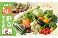 10種類の新鮮野菜 定期便 全6回 詰め合わせ 国産 冷蔵発送 半年 毎月配送コース【国産 野菜 やさい 詰め合わせ セット 年間 1年 12か月 新鮮 旬 冷蔵発送 ええもん ていきびん】