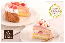 いちごのモンブラン （冷凍ケーキ） 12cm×1台【洋菓子 スイーツ おやつ てんさい糖 冷凍ケーキ】