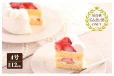 生クリームデコレーション（冷凍ケーキ）12cm×1台【洋菓子 スイーツ おやつ てんさい糖 冷凍ケーキ】