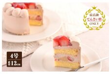 生チョコデコレーション （冷凍ケーキ） 12cm×1台【洋菓子 スイーツ おやつ てんさい糖 冷凍ケーキ】