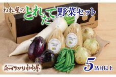 ねね屋のとれたて野菜セット 5品目以上 詰め合わせ