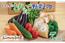 ねね屋のとれたて野菜セット 7品目以上 詰め合わせ