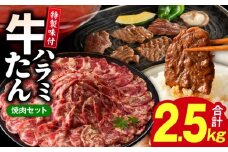 牛タン＆牛ハラミ 総量 2.5kg 焼肉セット【成型牛たん ハラミ 牛肉 焼肉用 薄切り 訳あり サイズ不揃い】