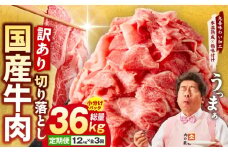 【定期便】国産 牛肉 切り落とし 1.2kg×全3回 総量 3.6kg【国産 牛肉 氷温熟成×極味付け 訳あり サイズ不揃い カレー 牛丼 野菜炒め 肉じゃが 家計応援 毎月配送コース】