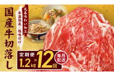 【定期便】国産 牛肉 切り落とし 定期便 1.2kg×全12回 総量 14.4kg【国産 牛肉 氷温熟成×極味付け 訳あり サイズ不揃い カレー 牛丼 野菜炒め 肉じゃが 家計応援 毎月配送コース】