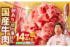 【定期便】国産 牛肉 切り落とし 定期便 1.2kg×全12回 総量 14.4kg【国産 牛肉 氷温熟成×極味付け 訳あり サイズ不揃い カレー 牛丼 野菜炒め 肉じゃが 家計応援 毎月配送コース】
