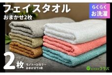 お洗濯がラクチン フェイスタオル 2枚 カラーおまかせ【泉州タオル 国産 吸水 普段使い シンプル 日用品】