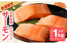 【期間限定】お刺身用 サーモン 1kg ブロック 小分け 約250g×4P ポーション 柵 訳あり サイズ不揃い
