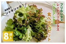 【栽培期間中農薬不使用】フリルレタス／レッドフリルレタス／バタビアレタス 食べ比べセット（8袋入り）