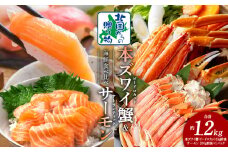 本ズワイ蟹 ビードロカット 1kg 蟹酢付 昆布塩加工 ＆ アトランティックサーモン 200g【北国からの贈り物 海鮮 食べ比べ セット 海鮮丼 お楽しみ 冷凍】