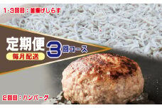 店主セレクト ハンバーグ／しらす 食べ比べ 定期便 全3回【毎月配送コース】