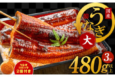 国産うなぎ 3尾 480g以上 大サイズ うなぎコロッケ 2個付き【えびす鰻 うなぎ ウナギ 国産 泉佐野産 1尾160g以上 蒲焼き かばやき 惣菜 冷凍 うな重 ひつまぶし 惣菜 先行予約】