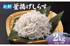 新鮮 釜揚げしらす 合計 2kg 小分け 250g×8P