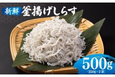 新鮮 釜揚げしらす 合計 500g 小分け 250g×2P