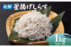 新鮮 釜揚げしらす 合計 1kg 小分け 250g×4P