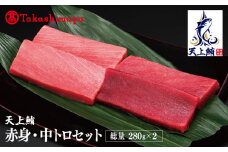 【高島屋選定品】天上鮪 満足セット 合計560g（赤身/中トロ）【刺身 海鮮丼 鮪 まぐろ マグロ 小分け】
