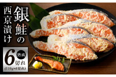 熟成 銀鮭 西京漬け 110g×6切れ 切り落とし 訳あり サイズ不揃い