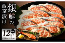 熟成 銀鮭 西京漬け 110g×12切れ 切り落とし 訳あり サイズ不揃い