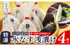 「特選最上級品」天然素材 水なす浅漬け 4個【新鮮 野菜 泉佐野産 茄子 やさい 高評価 数量限定】