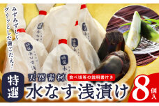 「特選最上級品」天然素材 水なす浅漬け 8個【新鮮 野菜 泉佐野産 茄子 やさい 高評価 数量限定】