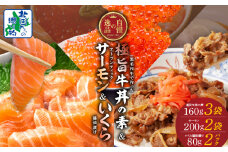【自慢の逸品3セット】アトランティックサーモン 200g×2P ＆ イクラ醤油漬け 80g×2P ＆ 黒毛和牛 極旨 牛丼の素 160g×3袋【食べ比べ 小分け 時短 簡単便利 つまみにもオススメ 北国からの贈り物】