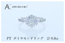 ARC-EN-CIEL プラチナ ダイヤリング 計0.8ct【鑑別書付き ジュエリー プレゼント ギフト ファッション アクセサリー 贈り物 贈答 お祝い 記念日】