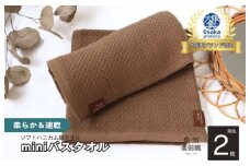 【ソフトハニカム】泉州南部織 ミニバスタオル 2枚（ブラウン）+ソフトハニカム織ハーフハンカチ1枚＜スピード発送＞