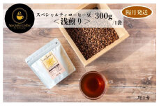 スペシャルティコーヒー焙煎豆 浅煎り 300g 定期便 全6回【2か月に1回配送 珈琲 COFFEE コーヒー オリジナル キャンプ アウトドア】
