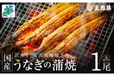 【老舗五郎藤】国産 旨鰻 170g 前後×1尾【うなぎ 関西風地焼き  ウナギ 蒲焼き 炭火 訳あり 数量限定 有頭 北国からの贈り物 厳選】
