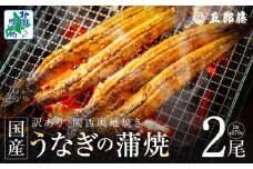 【老舗五郎藤】国産 旨鰻 170g 前後×2尾【うなぎ 関西風地焼き  ウナギ 蒲焼き 炭火 訳あり 数量限定 有頭 北国からの贈り物 厳選】