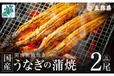 【老舗五郎藤】国産 旨鰻 120g 前後×2尾【うなぎ 関西風地焼き  ウナギ 蒲焼き 炭火 訳あり 数量限定 有頭 北国からの贈り物 厳選】