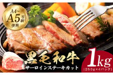 A5/A4ランク 黒毛和牛 サーロインステーキカット 合計1kg（250g×4P）【極味付け肉】