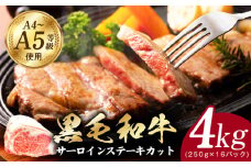A5/A4ランク 黒毛和牛 サーロインステーキカット 合計4kg（250g×16P）【極味付け肉】