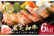 A5/A4ランク 黒毛和牛 サーロインステーキカット 合計6kg（250g×24P）【極味付け肉】
