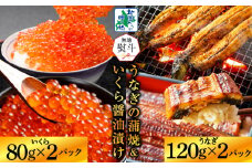 【無地熨斗】五郎藤 国産 関西風 地焼き 有頭旨鰻 120g×2尾 ＆ いくら醤油漬け 80g×2P【食べ比べ 人気 惣菜 北国からの贈り物 厳選 冷凍 数量限定】