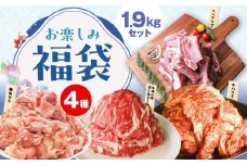 【夏の肉福袋】4種 1.9kg 焼肉セット（牛肉 切り落とし／牛ハラミ／豚肉 スペアリブ／鶏肉）【氷温熟成×極味付け 焼くだけ 食べ比べ ふくぶくろ お楽しみ 簡単調理】